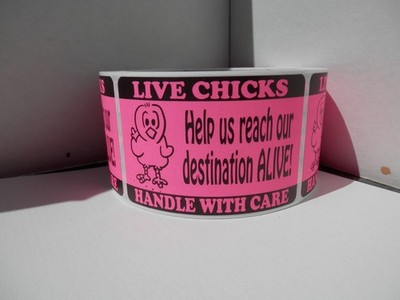 250 labels,LIVE CHICKS Help us reach destination ALIVE Hatch Eggs, pink stickers