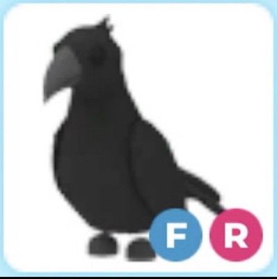 Adopt - FR Crow - Fly Ride Crow - Best Price