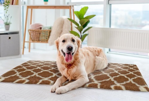 Cozy Non-Slip Dog Bed & Cat Pad - Machine Washable & Self-Warming 39.4" x 29.5" - Picture 3 of 7