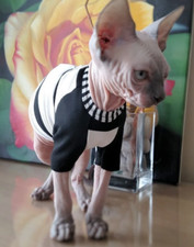 Stylish Black  White Striped T-Shirt for Cats and Small Dogs - LARGE