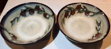 RARE VINTAGE Gourmet Basic by MIKASA ‘DESERT BLOOM’ Set of 2 8" Soup Bowls