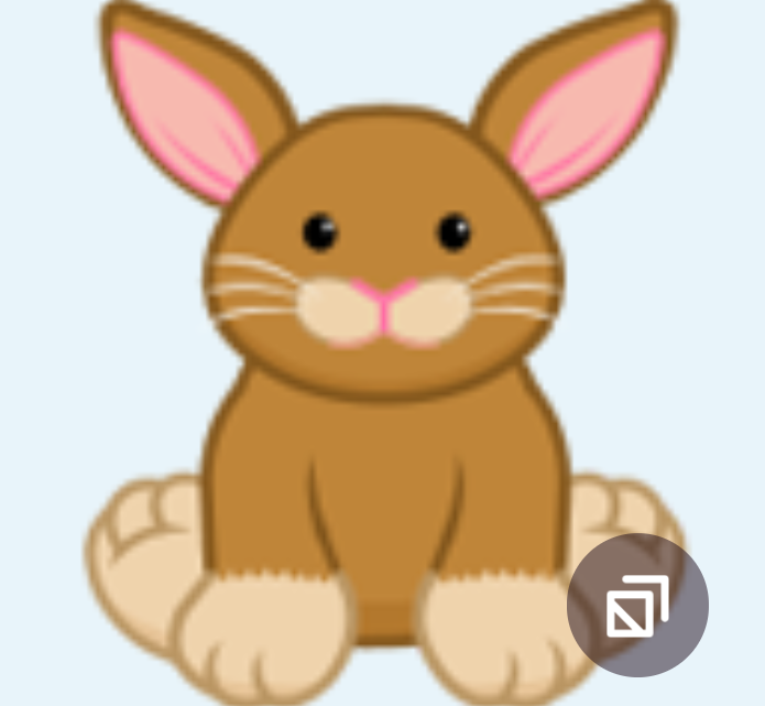 Webkinz Ginger Bunny HM805 RARE brown orange rabbit kit spring