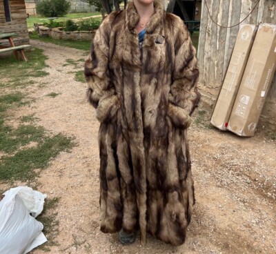 【rrr】Luan POODLE FUR COAT ブラウン Little Poodle Auburn: 3lb 13oz Purebred Puppy