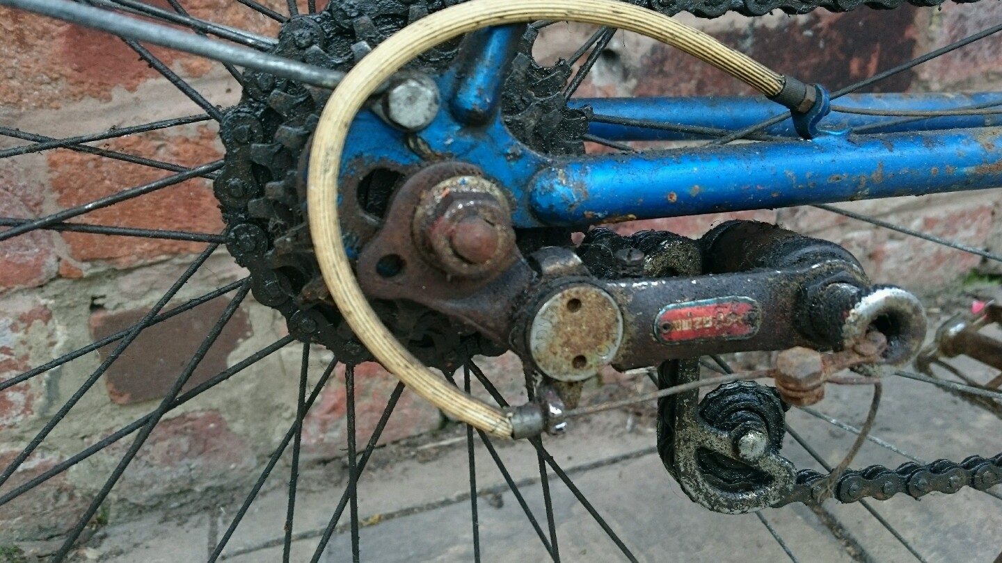 Picture 6 of 7