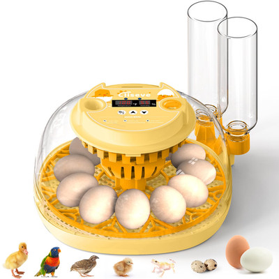 Egg Incubator for Hatching Chicks Automatic Egg Turner Holds 12 Eggs