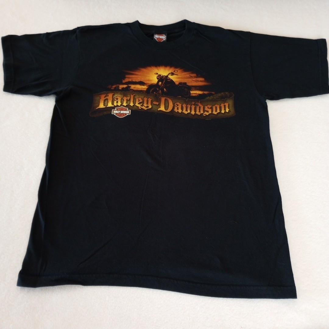 Barnett Harley Davidson El Paso Texas Shirt Men’s Size Large State Logo