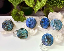 Wholesale Lot 6 PCs Natural Labradorite Wolf Crystal Healing Energy