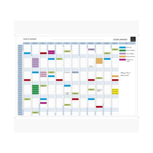 Exacompta 56153E lavagna per pianificazione (Exaplanner Yearly Magnetic Planner