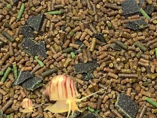 Aquatic Snail Food With Calcium & Treats Shrimp,Crayfish,Snails,Fish Food,ABF2D