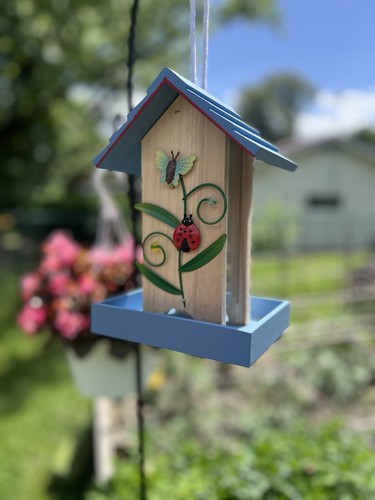 Decorative Wooden Bird Feeder Boho Cute Spring & Summer Bird Feeder Ladybug - Picture 2 of 20