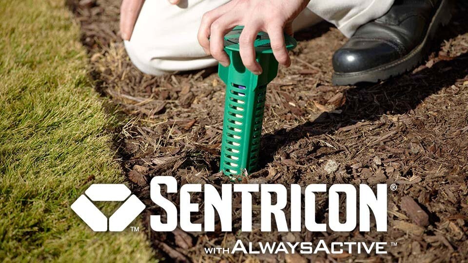 Set of *28* InGround termite kill trap bait station New Item lowest