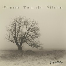STONE TEMPLE PILOTS Perdida BANNER 3x3 Ft Fabric Poster Tapestry Flag album art