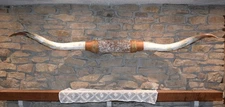 Mounted Steer Horns 8' 2" longhorn Polished Mount Bull Cow wall decor   JY-12