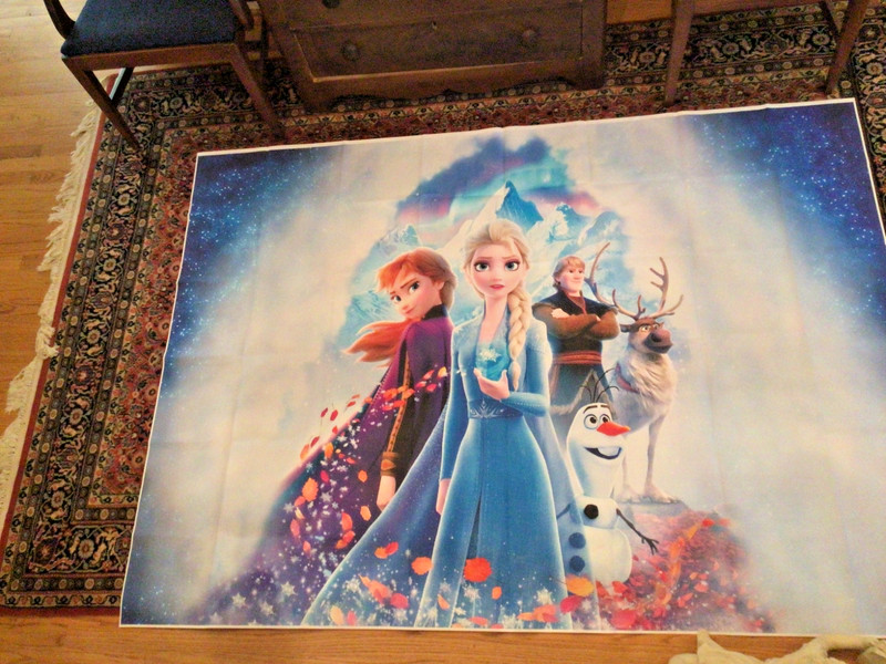 Frozen Elsa Anna Backdrop Princess Birthday Photo Backgrounds Supplies 84x60”