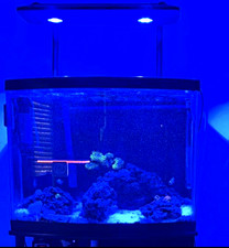 Kessil AP700 Marine Reef LED Light Full Spectrum High Intensity w/ Mounting Arms