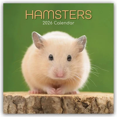 BROWNTROUT VERLAGS GMBH Hamsters - Hamster 2026 - 16-Monatskalender | Gifted Stationery Co. Ltd | 14 S.