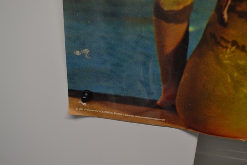 PINK FLOYD - BACK ART POSTER - 62x21 ALBUMS SEXY GIRLS - Picture 10 of 11