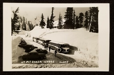 RPPC, Skiers, Parked Buses, Mt. Baker Lodge. Washington. R L Boren. 1950's.