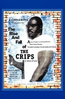 Richard Turner | The Rise And Fall Of The Crips | Taschenbuch | Englisch (2011)