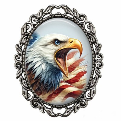 250 Years Celebration Americal Eagle US Flag Patriotic Brooch Pin Silver Glass