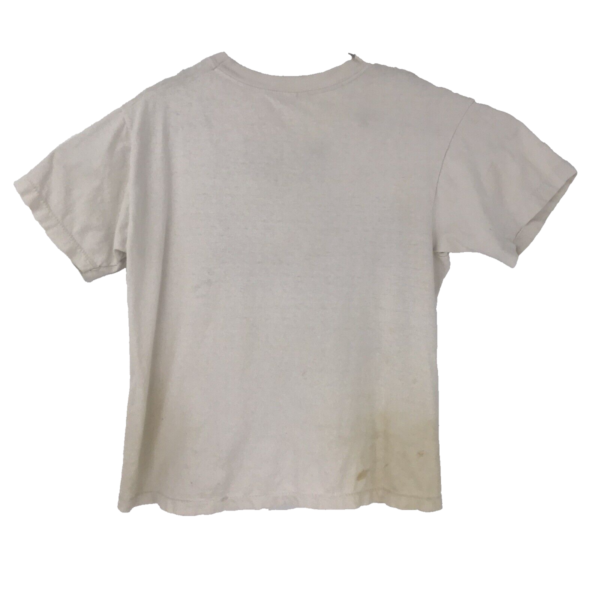 [TOOMUCHTAX] / ☆ VINTAGE GARDEN BABY T-SHIRT / BROWN Y2K Brown and Gold Fairy Graphic Baby Tee – Zoehify
