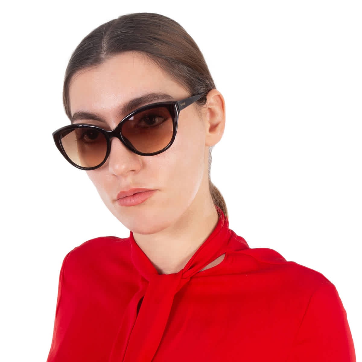 Calvin Klein Brown Gradient Cat Eye Ladies Sunglasses CK19536S 210 55