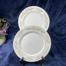 Set Of 2 International Silver Co. Fine China 326 Springtime 6 3/8” Bread Plates