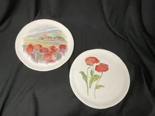 2Dinner Plates 9” Opificio Etico Ceramiche Italy Effetti d' arte Poppies(578)