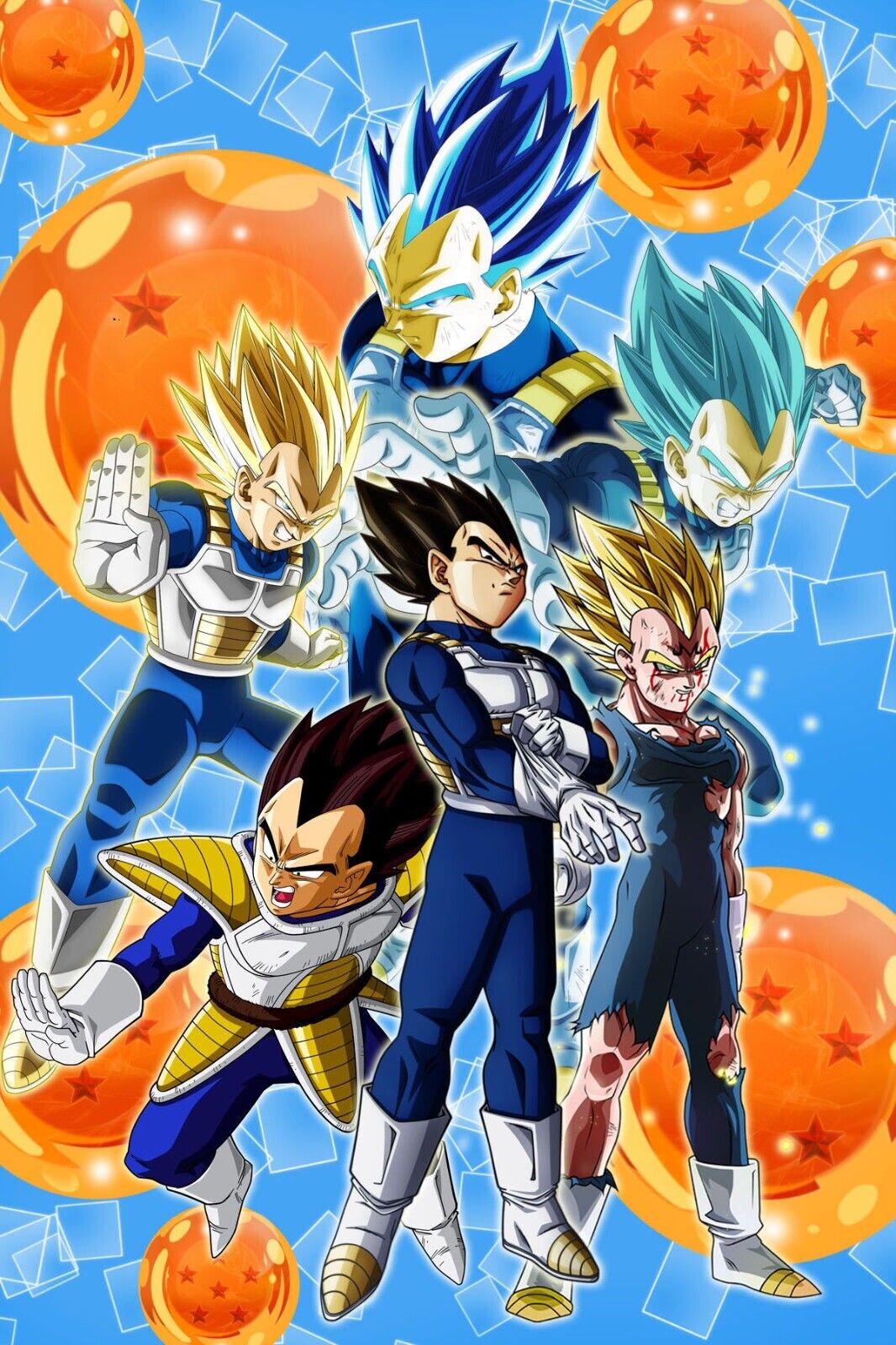 Dragon Ball Z, VEGETA, All In One