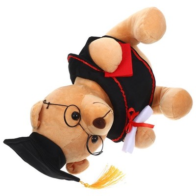 Bärenspielzeug-ornament Stofftier Abschlussbären Abschlussgeschenk