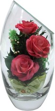 Fiora Flower Preserved Red Roses in Glass Vase   Real Roses Last 5 Years