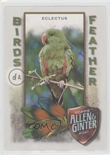 2021 Topps Allen & Ginter's Birds of a Feather Eclectus #BOF-1 1m8