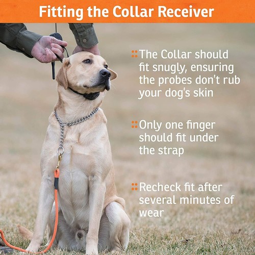 SportDOG SD-575E Remote Dog Training Collar Sport Orange 10 Static SImulations - Picture 4 of 6