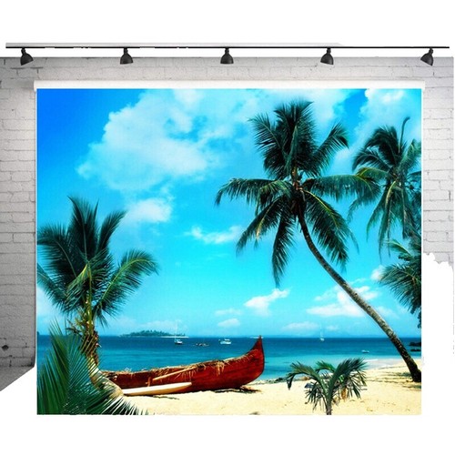 BACKDROP ハイバック用❗️ 10'x20' CP Indoor Stage Hall Scenic Microfiber Fabric background