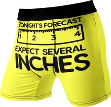 Funny Boxer Briefs Mens Small 28-30 Expect Several Inches Novelty Underwear