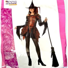 Abracadabra Girl Witch Halloween Costume Teen Youth Sz X- Large (12-14) Cosplay 