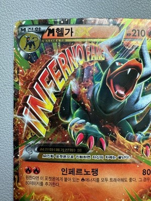 Pokemon M Houndoom EX Holo RR 010/059 XY8 Red Flash KOREAN Card | eBay