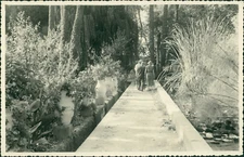 Morocco, Marrakech, 1953 Vintage silver print. Morocco.  Silver Print 12