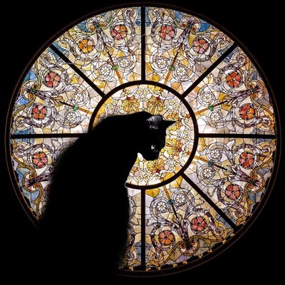 Cathedral Cat - 372 Piece Wooden Jigsaw Puzzle