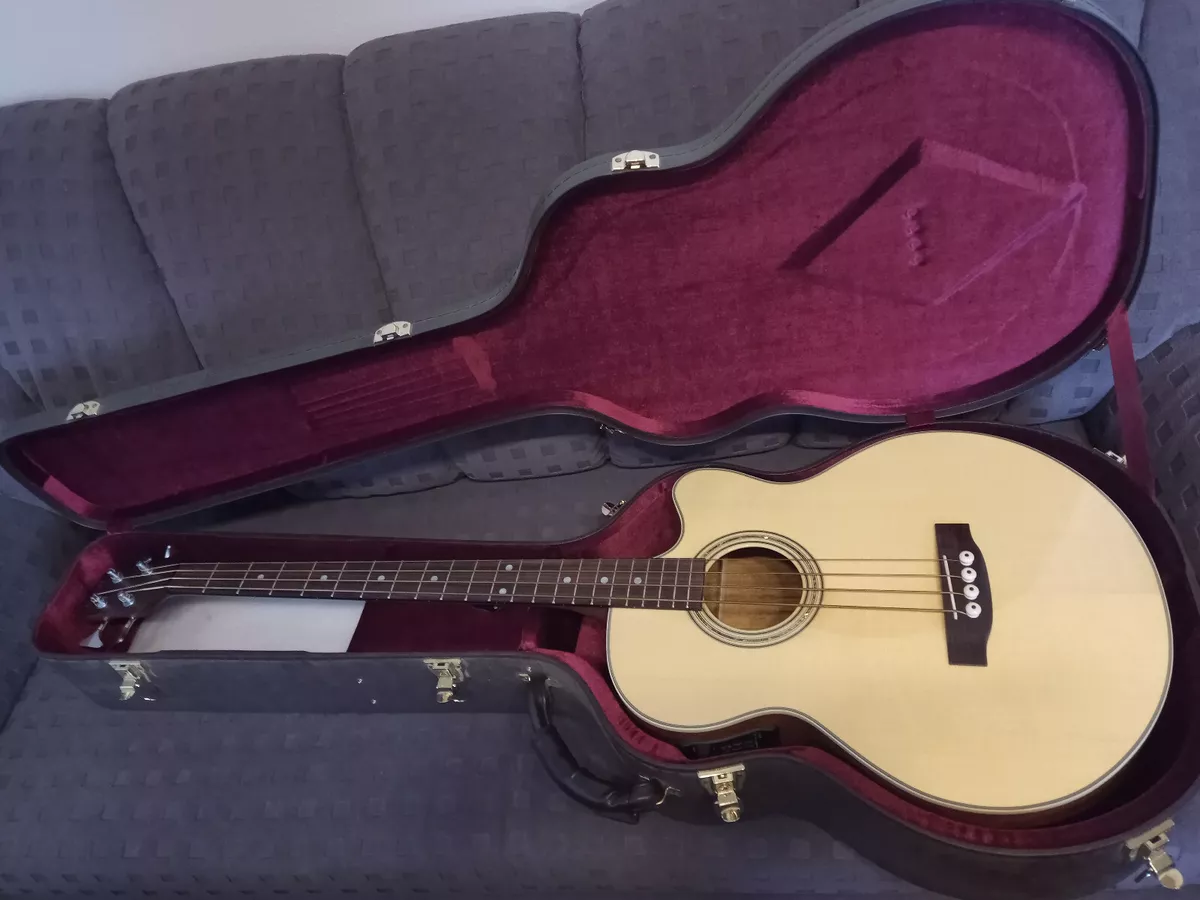 Ebay 2024 carvin bass