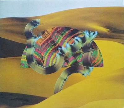 Django Django - Django Django (CD) (Near Mint (NM or M-)) - 3891730972