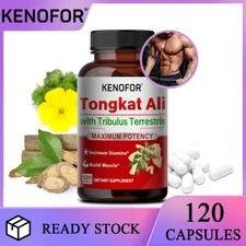 Muscle-Building And Anti-Inflammatory Effects | Tribulus Terrestris Extract