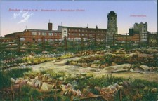 Ansichtskarte Brocken Brockenhotel Botanischer Garten   (Nr.9082)