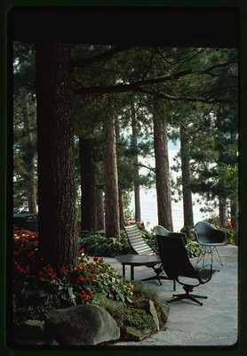 Photo:Ontario Canada Miller House Terrace 1950s Pine Forest Patio Chairs