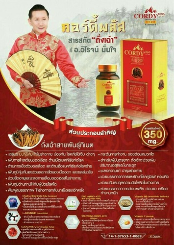 3X 30 Capsules CORDY PLUS Tibetan Cordyceps Sinensis 350mg Q10 Zinc Vitamin B6 C - Picture 6 of 10