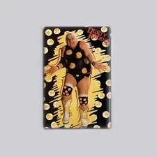 DUSTY RHODES - 2"x3" FRIDGE MAGNET (vintage wrestling poster american dream)