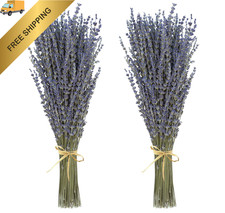 Dried Lavender 2 Bunches 100 Fresh Natural Purple 2 Lavender, Mixed