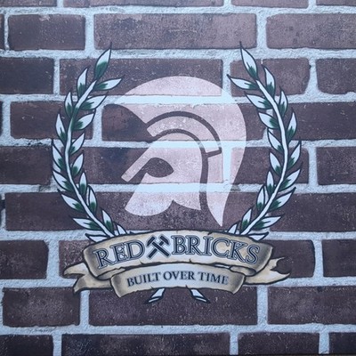 Red Bricks - Built Over Time LP ARGY BARGY LIONS LAW PROWLERS
