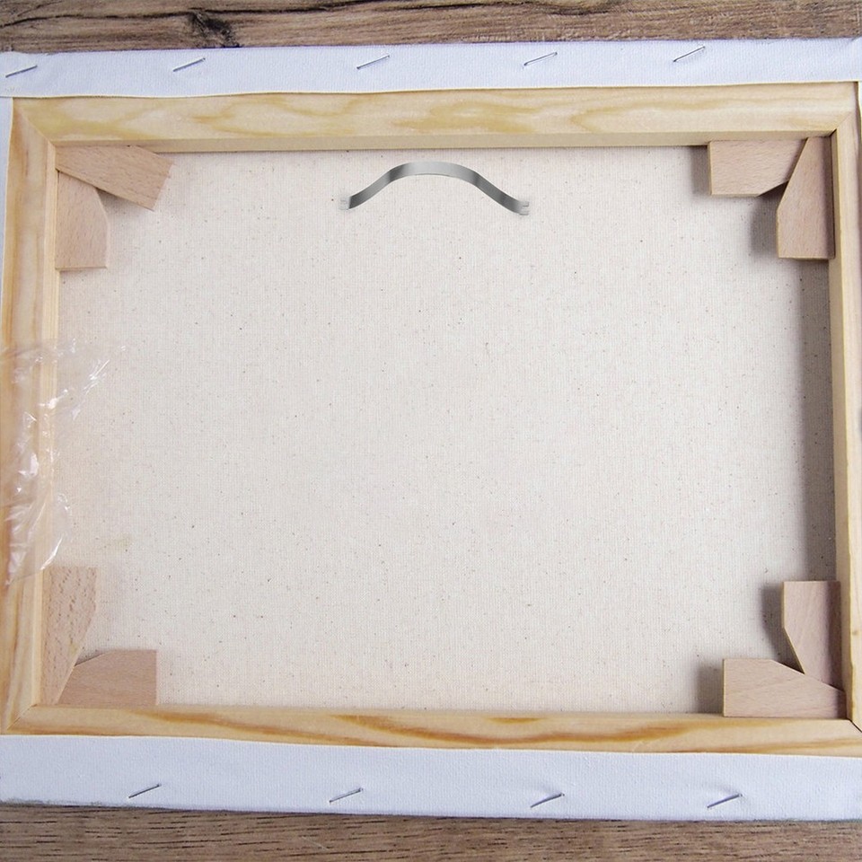 Spring Cips 100 Pcs Picture Frame Backing Clips Metal Spring Clips Picture Framing ...