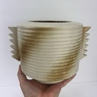 Photo 2/19